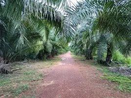  Grundstück zu verkaufen in Tha Mai, Chanthaburi, Khamong