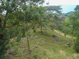  Land for sale in Aguirre, Puntarenas, Aguirre