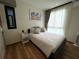 2 Bedroom Condo for rent at The Title Halo 1, Sakhu, Thalang