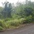  Land for sale in Thalang, Phuket, Mai Khao, Thalang