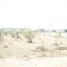  Land for sale in India, Bhopal, Bhopal, Madhya Pradesh, India