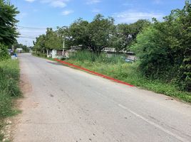  Land for sale in Tan Diao, Kaeng Khoi, Tan Diao