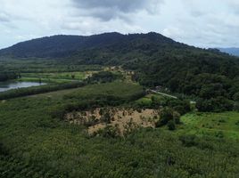 ขายที่ดิน ใน ถลาง ภูเก็ต, เทพกระษัตรี, ถลาง