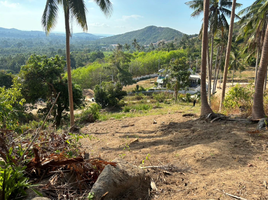  Land for sale in Surat Thani, Bo Phut, Koh Samui, Surat Thani