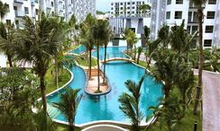 Photo 1 of the Communal Pool at Arcadia Beach Resort