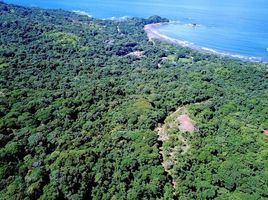  Grundstück zu verkaufen in Osa, Puntarenas, Osa, Puntarenas, Costa Rica