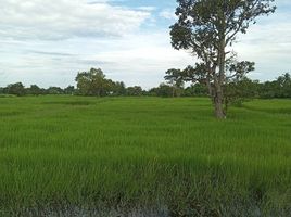  Grundstück zu verkaufen in Mueang Surin, Surin, Nok Mueang, Mueang Surin, Surin
