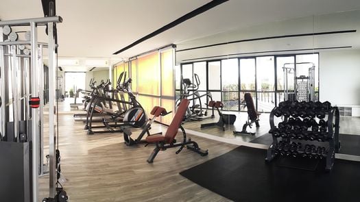 รูปถ่าย 2 of the Communal Gym at โรชาเลีย เรสซิเดนซ์