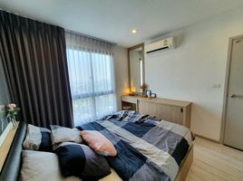 2 спален Кондо в аренду в Ideo Mobi Bangsue Grand Interchange, Bang Sue, Банг Суе, Бангкок