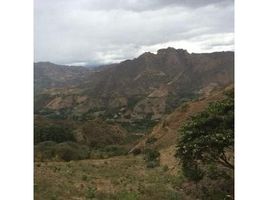  Grundstück zu verkaufen in Loja, Loja, Vilcabamba Victoria, Loja, Loja
