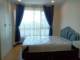 1 Schlafzimmer Wohnung zu vermieten im Premio Prime Kaset-Nawamin, Chorakhe Bua, Lat Phrao