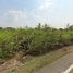  Land for sale in Plaeng Yao, Chachoengsao, Wang Yen, Plaeng Yao