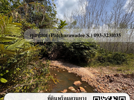  Land for sale in Chana, Songkhla, Na Wa, Chana