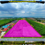 ขายที่ดิน ใน นิคมพัฒนา ระยอง, มะขามคู่, นิคมพัฒนา, ระยอง