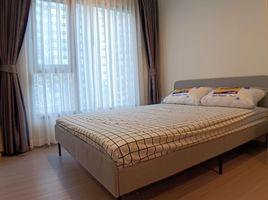 Studio Condo for rent at Life Asoke Hype, Makkasan