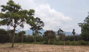 素叻 塔林甘 N/A 土地 售 