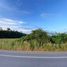  Land for sale in Plaeng Yao, Chachoengsao, Plaeng Yao, Plaeng Yao