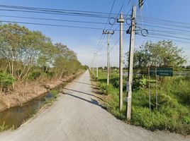  Land for sale in Bueng San, Ongkharak, Bueng San