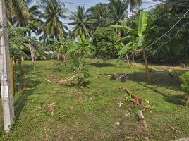  Grundstück zu verkaufen in Koh Samui, Surat Thani, Maenam