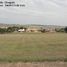  Land for sale in Holambra, Holambra, Holambra