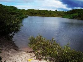  Grundstück zu verkaufen in Humberto Campos, Maranhao, Pesquisar