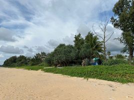  Grundstück zu verkaufen in Takua Thung, Phangnga, Khok Kloi