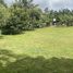  Land for sale in Nong Thale, Krabi, Nong Thale