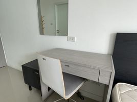 2 Bedroom Apartment for rent at Whizdom Punnawithi Station, Bang Chak, Phra Khanong, Bangkok