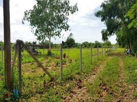  Land for sale in Klaeng, Mueang Rayong, Klaeng
