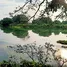  Land for sale in Khlong Khwai, Pathum Thani, Khlong Khwai, Sam Khok