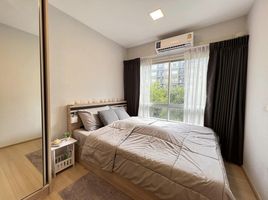 1 Bedroom Condo for rent at Plum Condo Park Rangsit, Khlong Nueng