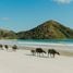  Land for sale in AsiaVillas, Praya Barat, Lombok Tengah, West Nusa Tenggara, Indonesia