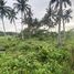  Land for sale in Surigao del Norte Caraga, Santa Monica, Surigao del Norte, Caraga