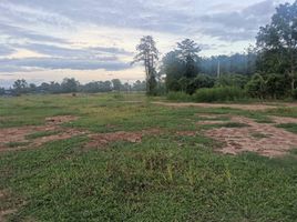  Land for sale in Nan, Du Tai, Mueang Nan, Nan