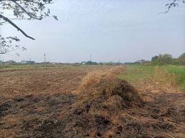  Land for sale in Khok Faet, Nong Chok, Khok Faet