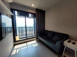 1 Bedroom Apartment for rent at Life Ladprao, Chomphon