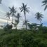  Land for sale in Surigao del Norte Caraga, Santa Monica, Surigao del Norte, Caraga
