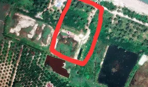 ขายที่ดิน N/A ใน ดอนสัก, สุราษฎร์ธานี 