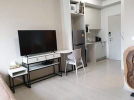 1 Bedroom Apartment for sale at Chapter One Shine Bangpo, Bang Sue, Bang Sue