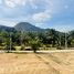  Land for sale in Ao Nang, Krabi, Ao Nang