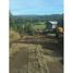  Land for sale in Chiloe, Los Lagos, Chonchi, Chiloe