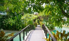 Photo 2 of the Communal Garden Area at Amazon Residence