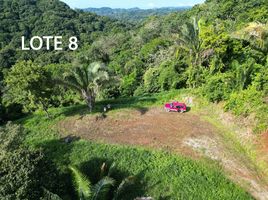  Land for sale in Guanacaste, Carrillo, Guanacaste