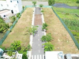  Land for sale in Tan Quy Tay, Binh Chanh, Tan Quy Tay