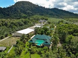 4 Schlafzimmer Haus zu verkaufen in Mueang Krabi, Krabi, Ao Nang