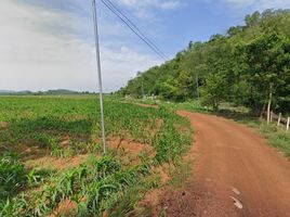  Land for sale in Wang Sai, Pak Chong, Wang Sai