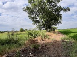  Land for sale in Nong Chok, Bangkok, Lam Toiting, Nong Chok