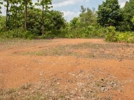  Land for sale in Doi Saket, Chiang Mai, Luang Nuea, Doi Saket