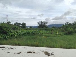  Grundstück zu verkaufen in Thalang, Phuket, Thep Krasattri, Thalang