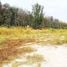  Land for sale in Nikhom Phatthana, Rayong, Phana Nikhom, Nikhom Phatthana